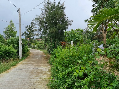 Bán thửa đất 120,5m2 Phú Lạc Hòa Hiệp Nam gần bên khu tái định cư