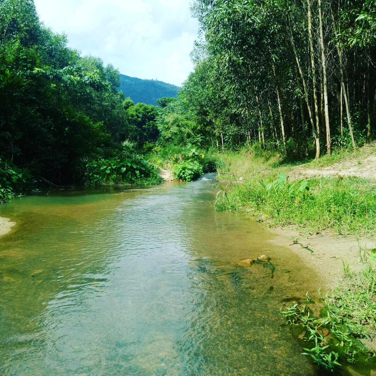Suối Khánh Nam, Khánh Vĩnh dài 164m tttp Nha Trang 39km