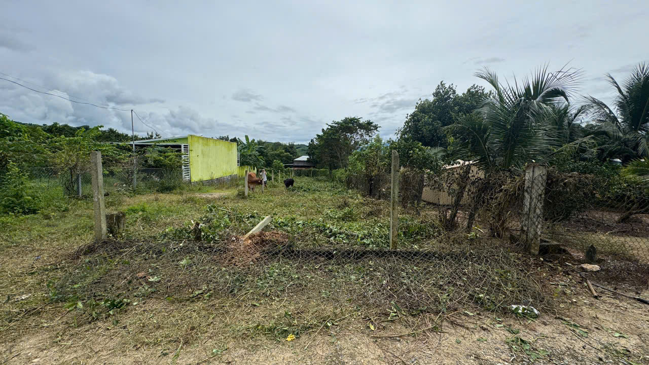 Bán lô đất Diên Xuân, Diên Khánh. Dt 256.6m2. Giá 600tr