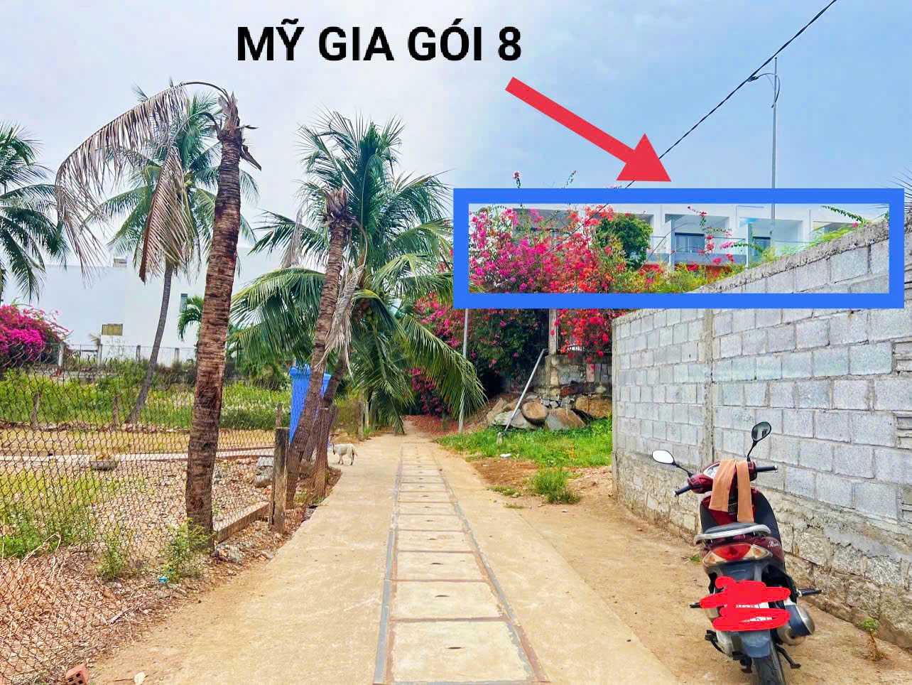 Đất sát gói 8 khu đô thị Mỹ Gia - cạnh khu dân cư ( cách đường Núi Cấm đi vào 500m ) •• Phù hợp chia lô tách thửa. Dt 523.7m2. Giá 5ty