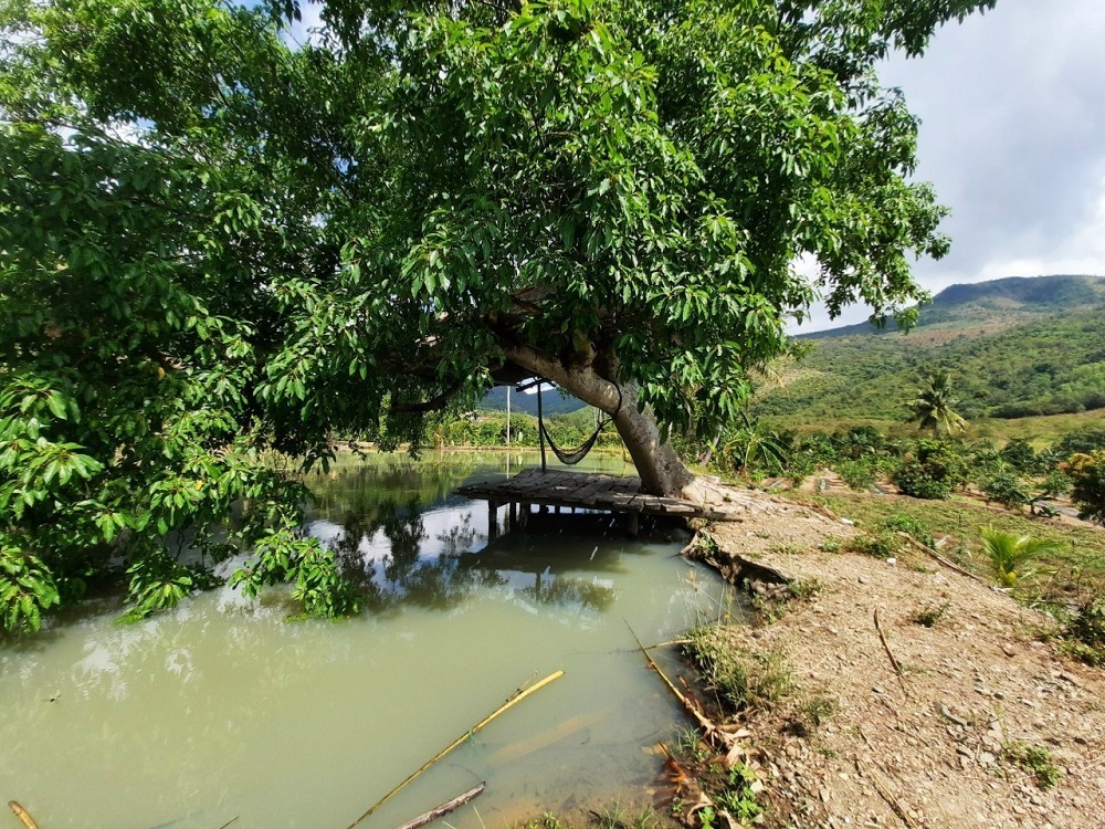 Đất rẫy Cảnh thôn quê Đắc Lộc Nha Trang - gần 5ha đất Có suối chảy