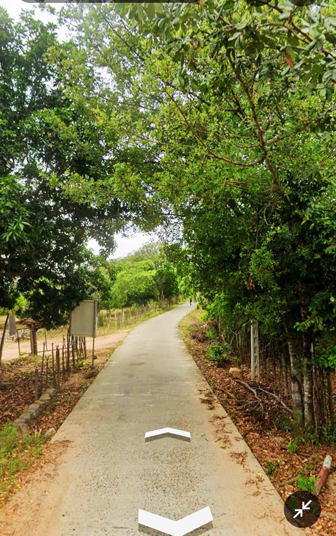 Đất vườn Bình Lập - view nhìn thấy biển, cách bãi cát 80m** bám bê tông ô tô vi vu. Dt 621m2. Giá 3.450ty