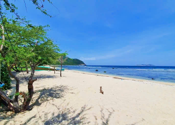 Mặt biển Ninh Vân - cát trắng trải dài (ô tô vào ổn áp). Dt 4530m2. Giá 26.8ty