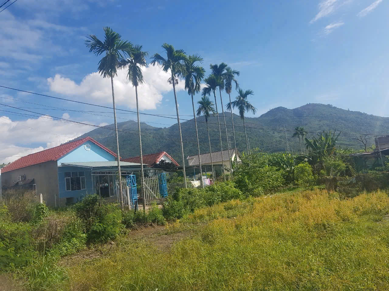 CHÍNH CHỦ CẦN BÁN ĐẤT THÔN ĐÔNG 2 – DIÊN ĐIỀN – DIÊN KHÁNH. GIÁ 3ty400