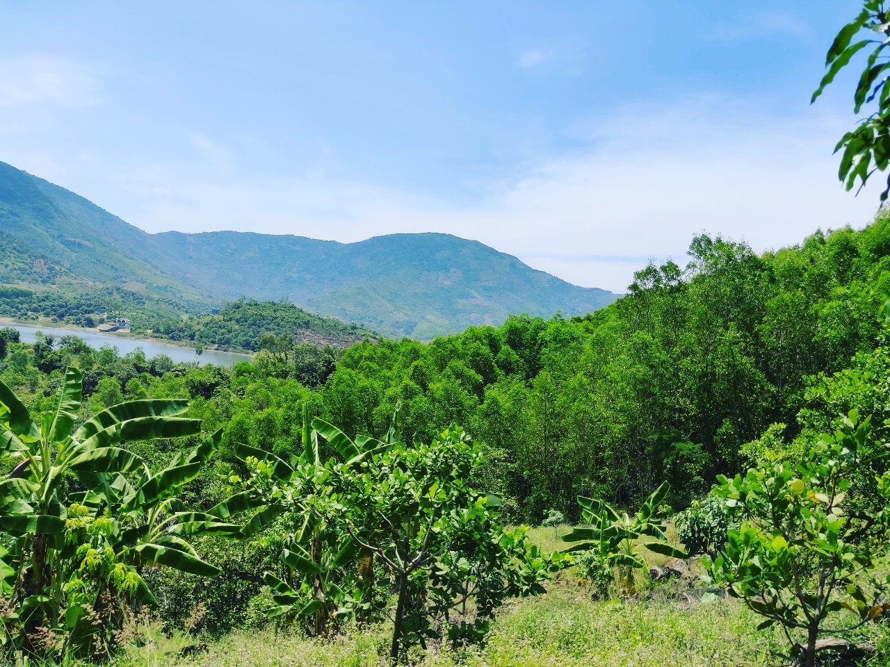 1ha đất rừng sản xuất View hồ Am Chúa xã Diên Điền, Diên Khánh tầm nhìn ra hồ 80m 