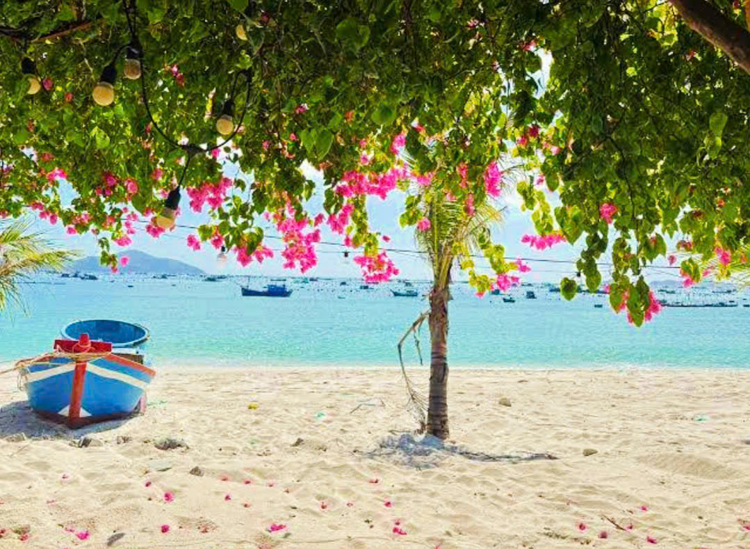  Nhà vườn 888m² siêu xinh tại Bình Lập , chuẩn nghỉ dưỡng - bám đường ô tô vi vu ( đia ra biển hơn 300m ). Giá 5.7ty