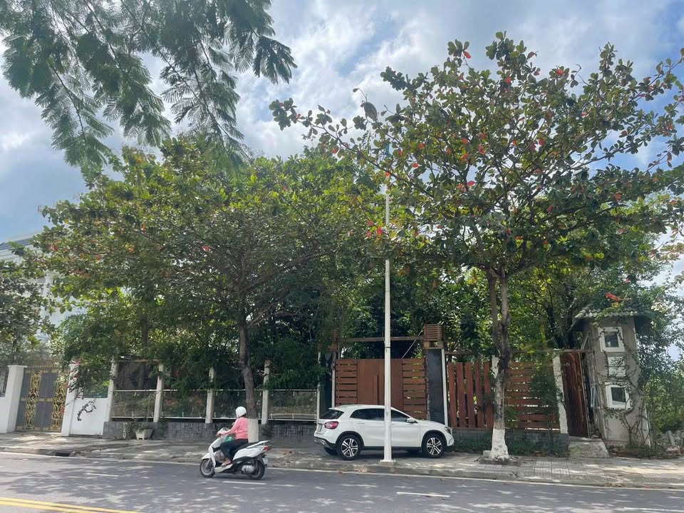 Bán đất mặt tiền Phạm Văn Đồng, Nha Trang ngang 22m