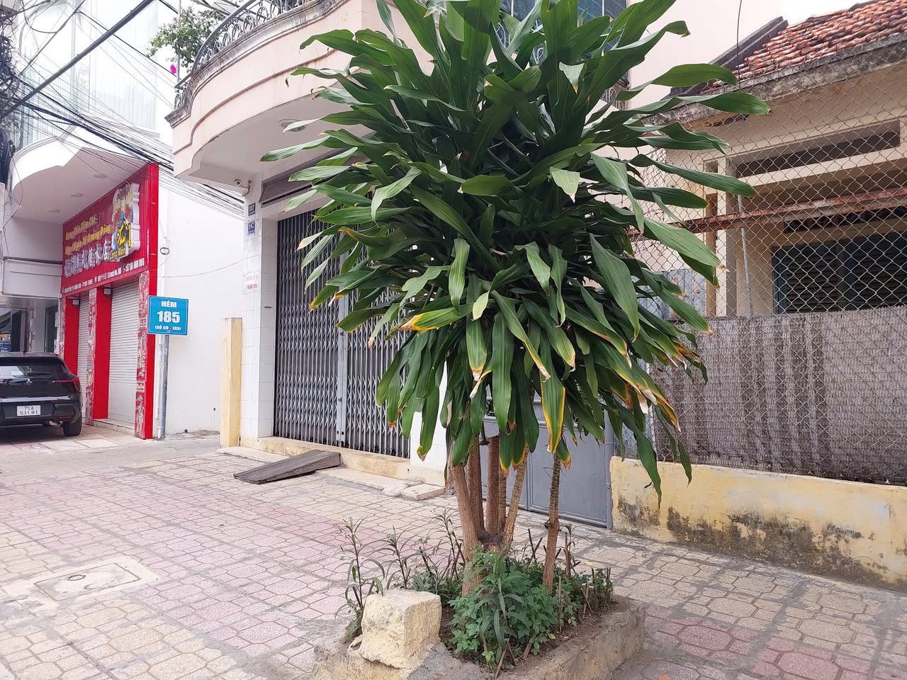 Bán nhà mặt đường Nguyễn Thị Minh Khai, Nha Trang, ngang 9m3