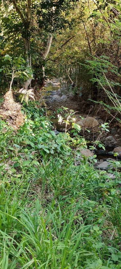 Đất vườn Vĩnh Lương trước mặt đất là suối