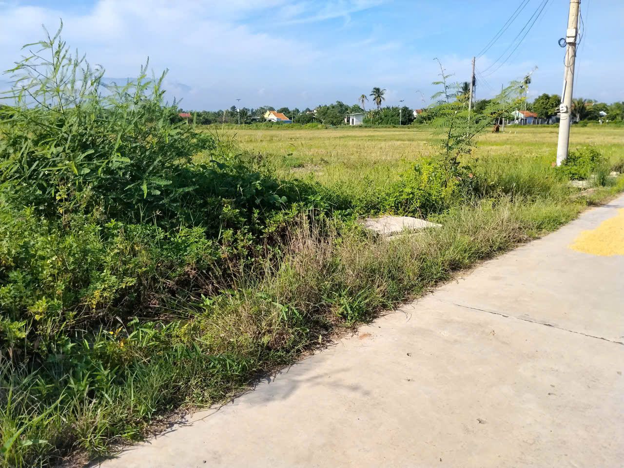 N512. CHÍNH CHỦ GỬI BÁN 5 LÔ PHƯỚC THUẬN – NINH ĐÔNG CŨ, NAY LÀ PHƯỜNG NINH HÒA. DT 146m2. Giá chỉ từ 375trieu