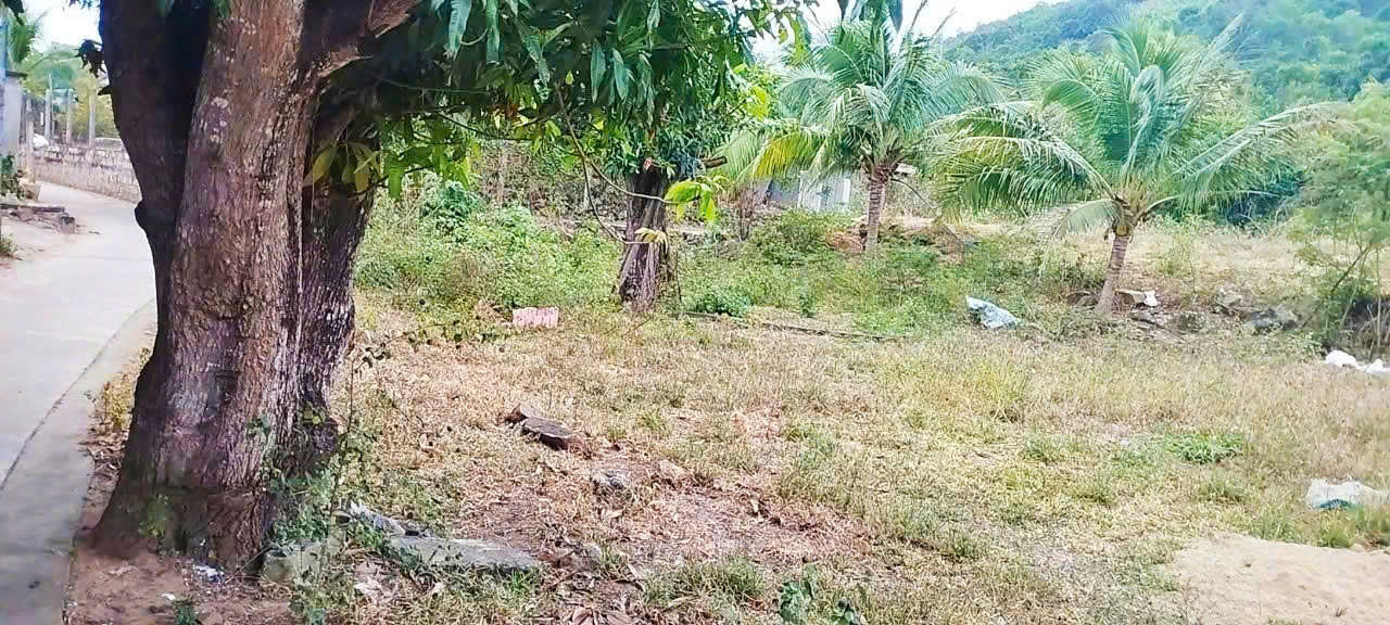 ĐẤT VƯỜN 3 MẶT THOÁNG Vĩnh Phương _ khá gần Vành Đai 3 { Phù hợp quy hoạch : 236m² ĐẤT Ở } . DT 1954m2. Giá 1.550ty