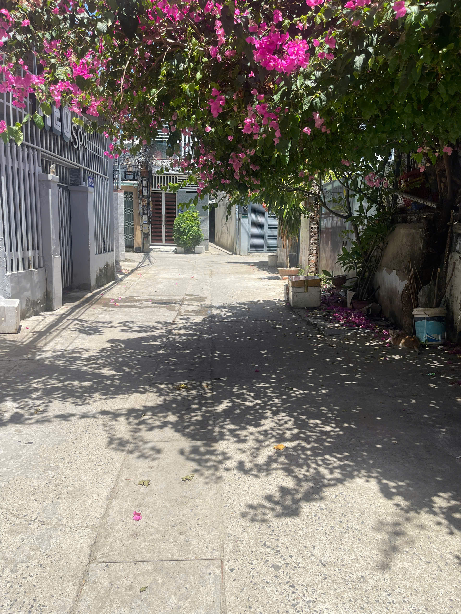 BÁN ĐẤT Tặng nhà cấp 4 hẻm oto Phước Long Phường Nam Nha Trang. GIÁ 7ty568tr
