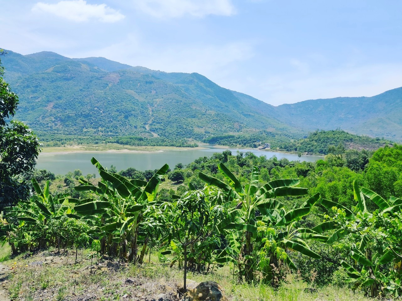 1ha đất rừng sản xuất View hồ Am Chúa xã Diên Điền, Diên Khánh tầm nhìn ra hồ 80m 