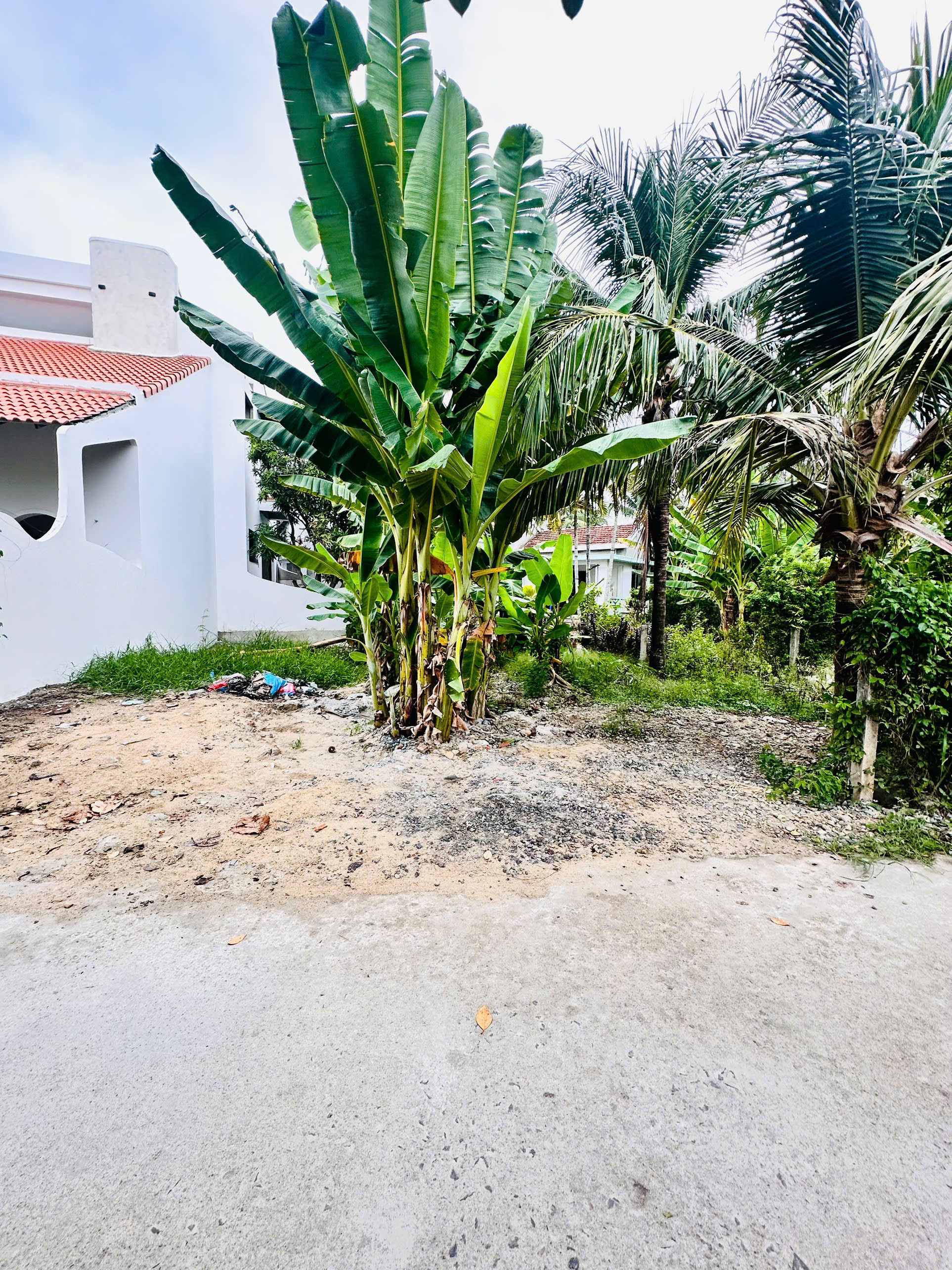 Mặt tiền Xóm Lò Rèn , Diên An Phú Ân Nam3. Dt 125m2. Giá 1.650ty