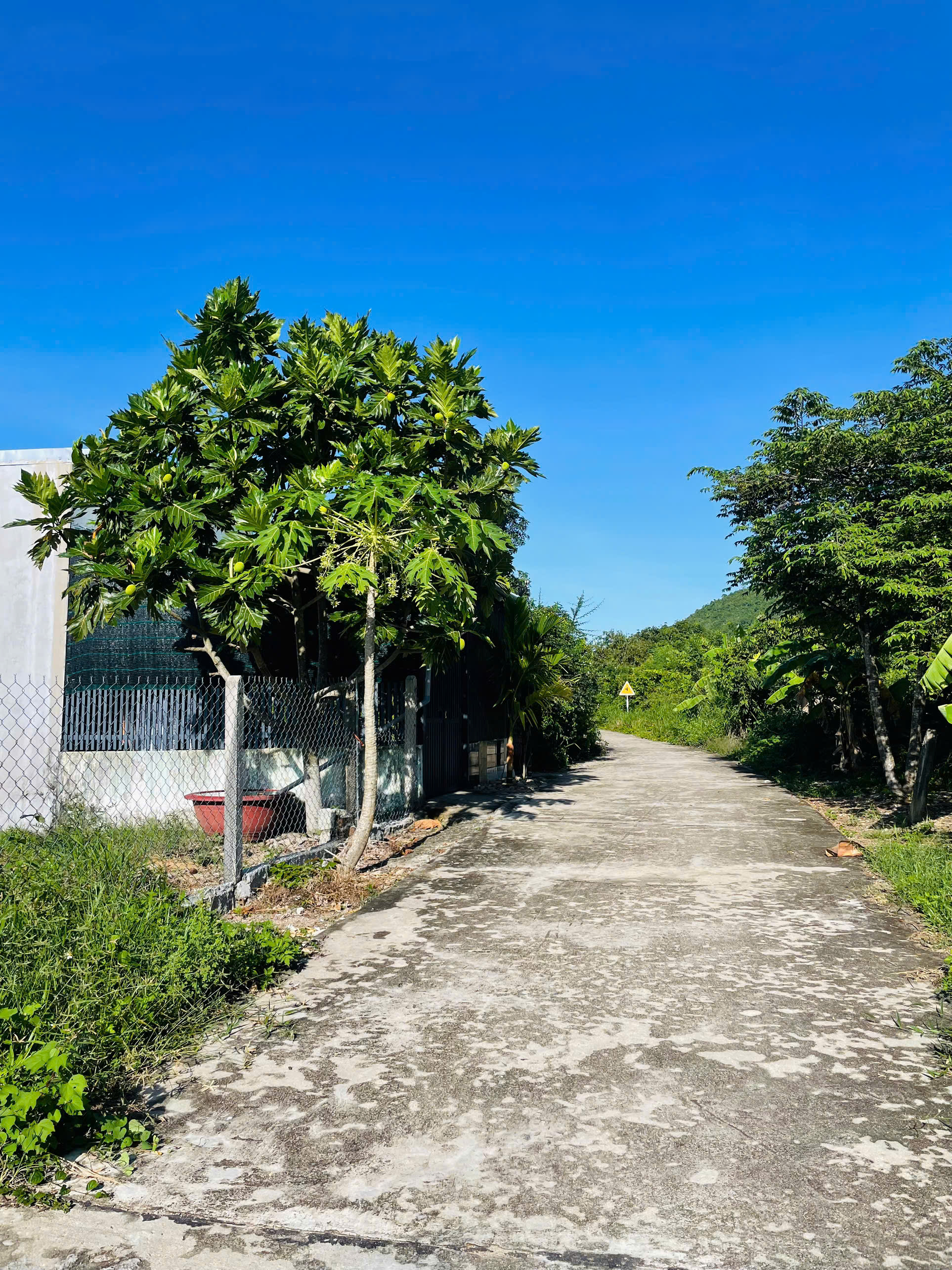 Đất vườn Diên An thôn An Ninh giá tốt. Dt 305m2. Giá 5tr/m2.