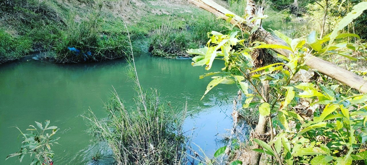 Siêu phẩm 6.6 ha Khánh Nam mặt sông Cái phù hợp làm farm khu sinh thái