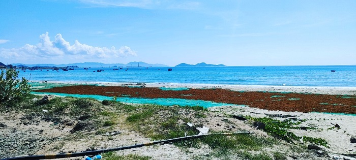View biển và mặt biển Ninh Phước Ninh Hòa