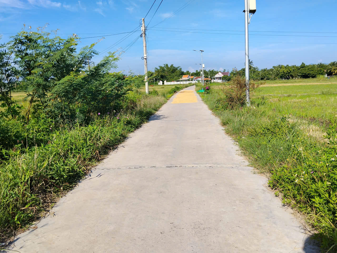N512. CHÍNH CHỦ GỬI BÁN 5 LÔ PHƯỚC THUẬN – NINH ĐÔNG CŨ, NAY LÀ PHƯỜNG NINH HÒA. DT 146m2. Giá chỉ từ 375trieu