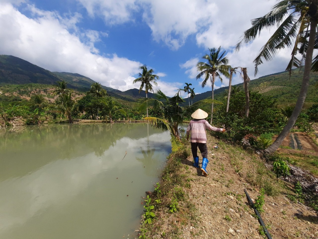 Đất rẫy Cảnh thôn quê Đắc Lộc Nha Trang - gần 5ha đất Có suối chảy