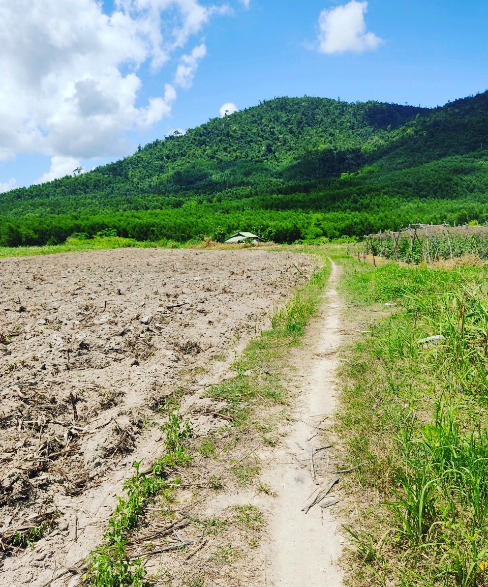 Đất đầu tư làm vườn, trang trại 2.2ha Ninh Tân Ninh Hòa - đất bằng phẳng