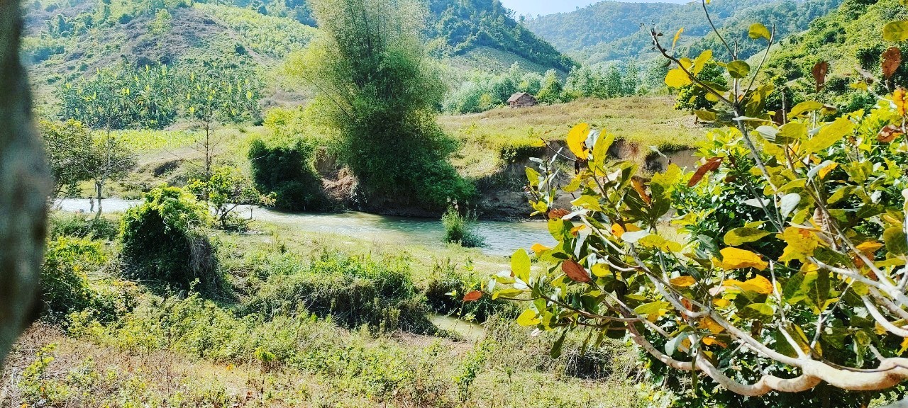 15ha đất trồng cây mặt sông Khánh Phú Khánh Vĩnh