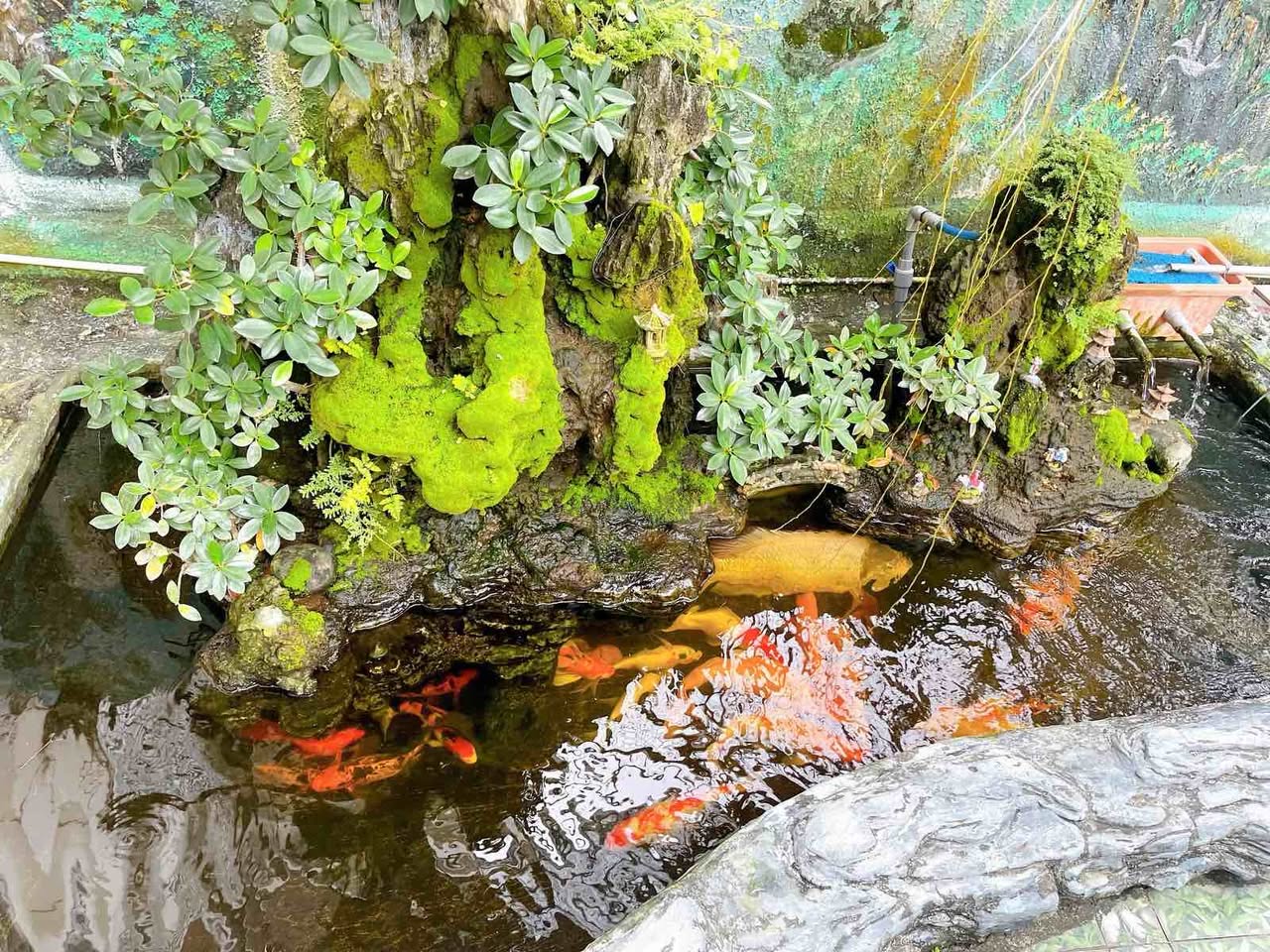 Bán Căn Biệt Thự Sân Vườn khu Phước Long, Nha Trang