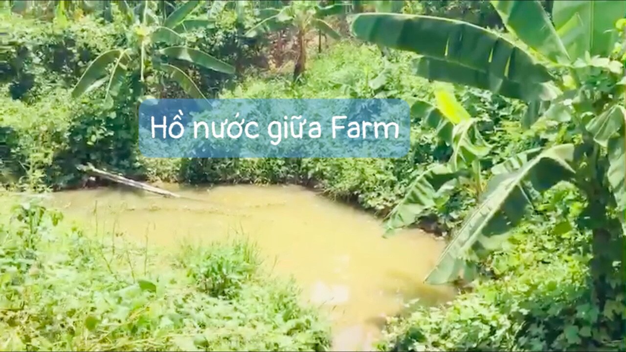 Farm Mini Vip tt. Khánh Vĩnh bên hông đất là suối