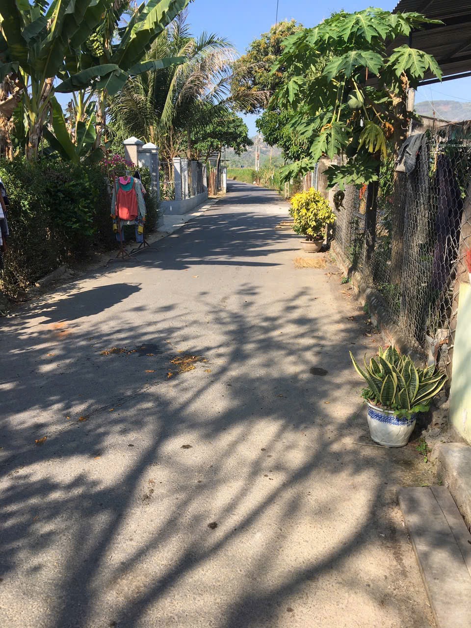 ☘️Bán QUÁ RẺ lô đất Diên Phước 02 mặt tiền, đường nhựa thông