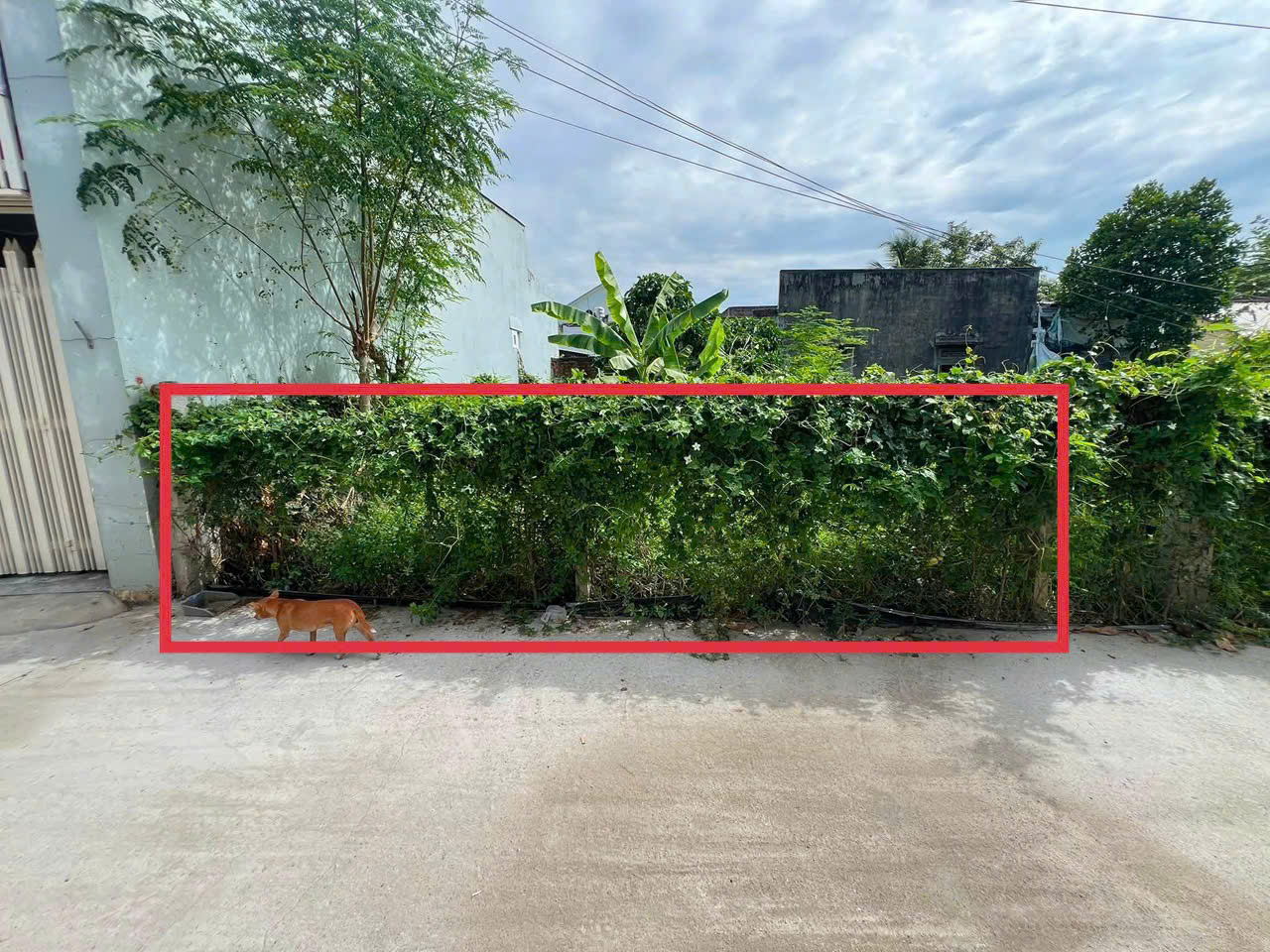 HẠ GIÁ ĐẤT DIÊN TOÀN – CHỈ CÒN 1 TỶ. DT 70m2