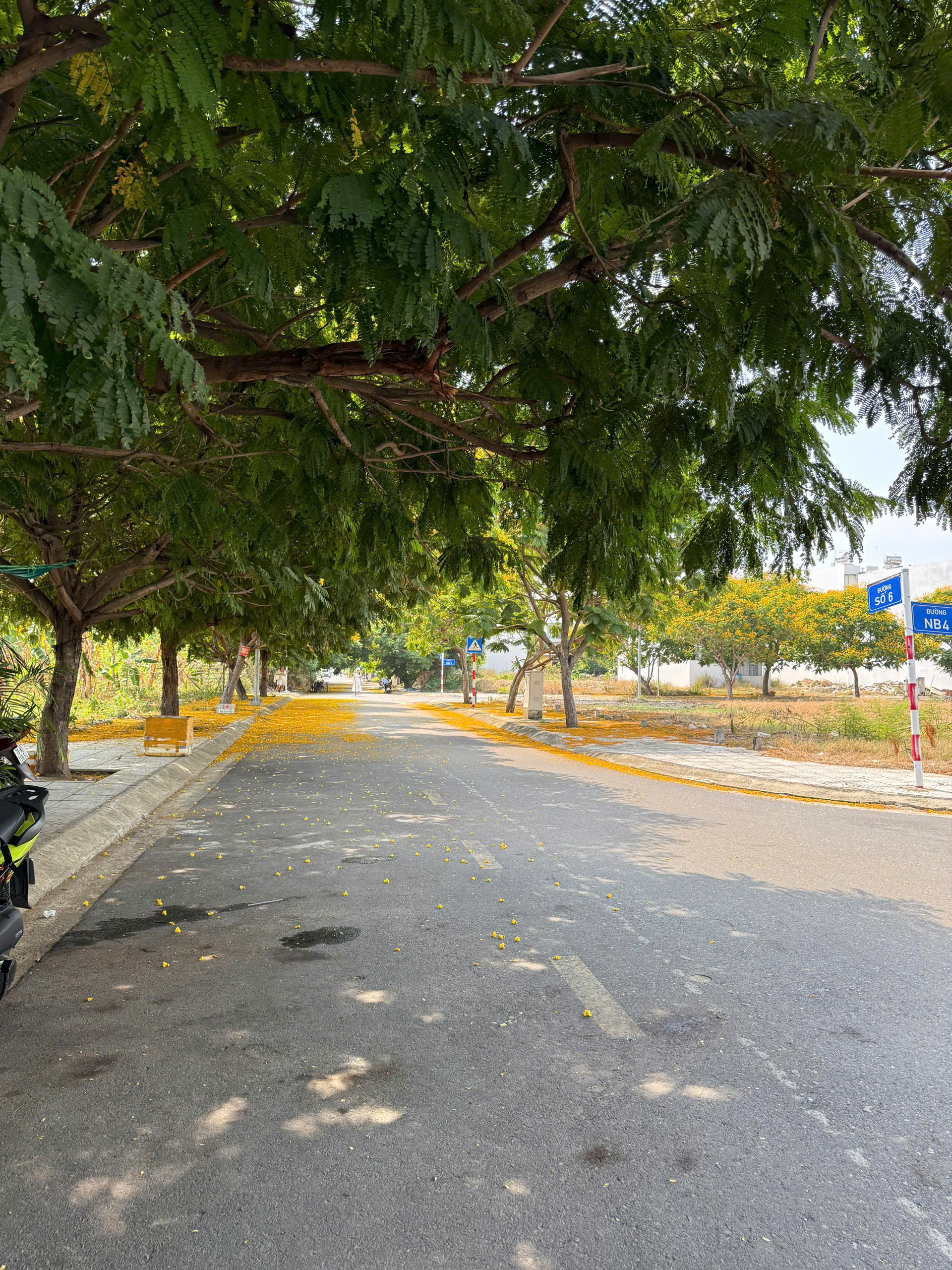 BÁN LÔ ĐẤT HÀNG HIẾM TÁI ĐỊNH CƯ HÀ QUANG 2 MẶT TIỀN ĐƯỜNG SỐ 6 RỘNG 12M - SỔ SẴN CẦM TAY. GIÁ 5ty8
